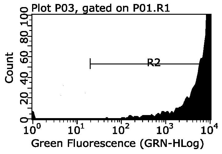 Sufficiently diverse amphiphilic MHC II binding polypeptide, immunocarrier microsphere and preparation method and application thereof