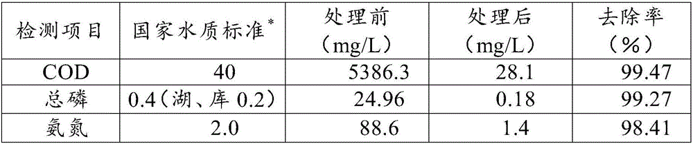 Broad spectrum biological agent for treating black and odorous water and use method thereof