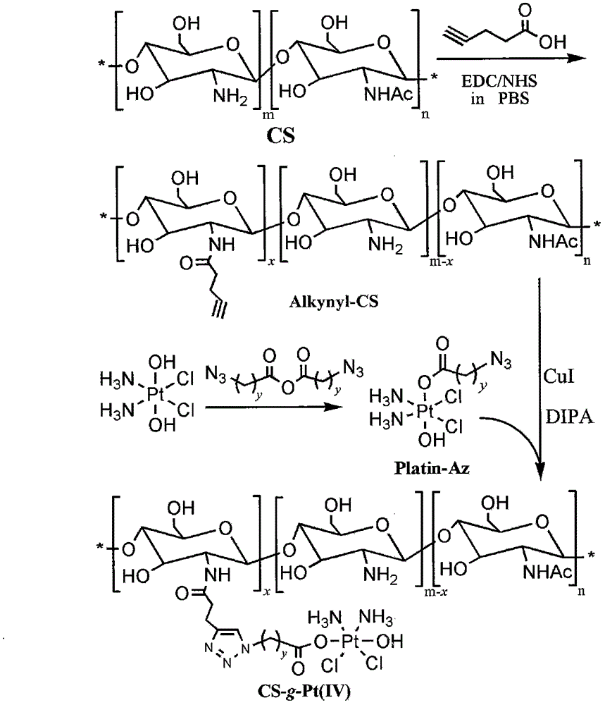 Chitosan-platinum (IV) prodrug conjugate and preparation method thereof