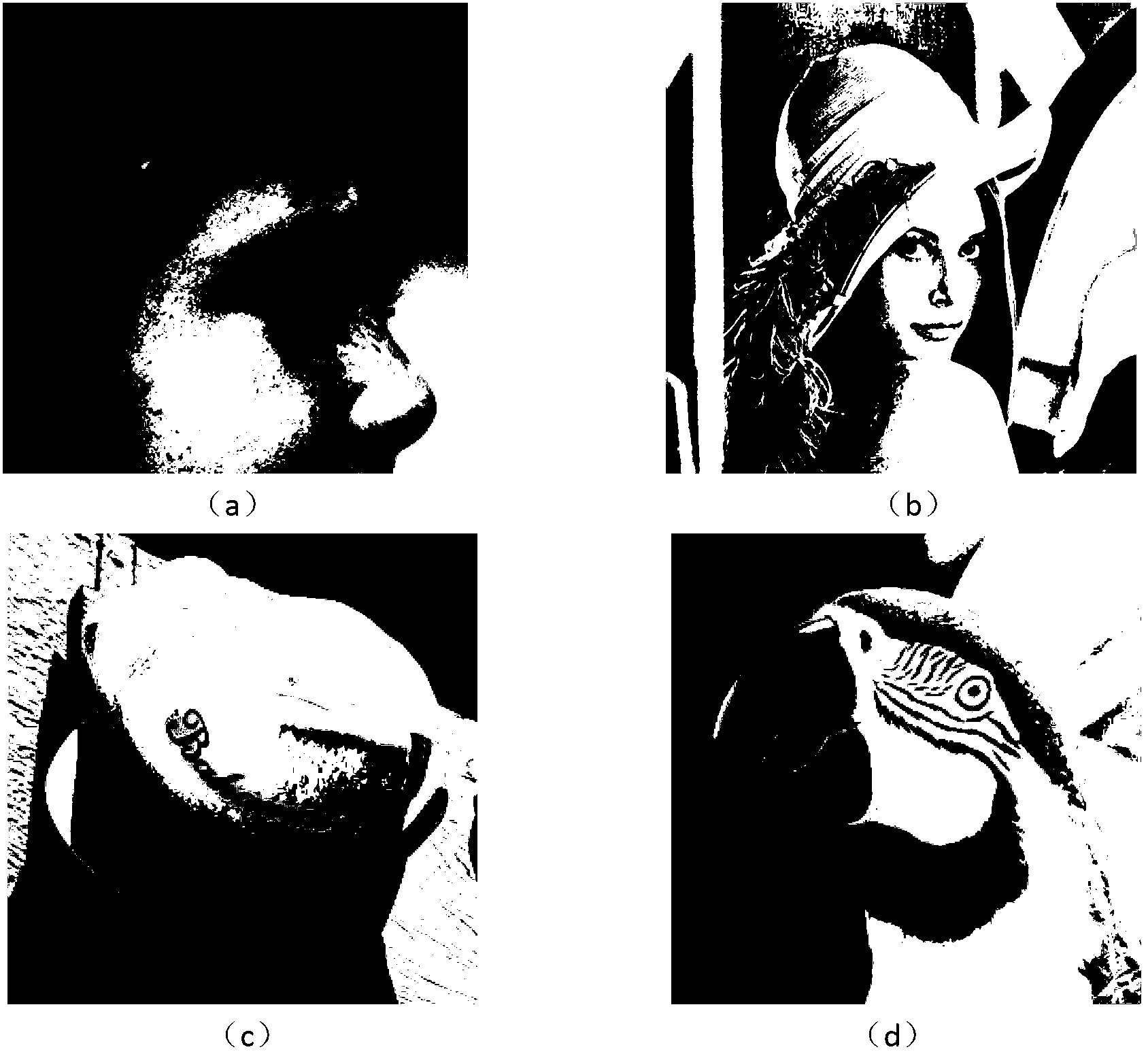 Image super-resolution reconstruction method based on dictionary learning and structure similarity