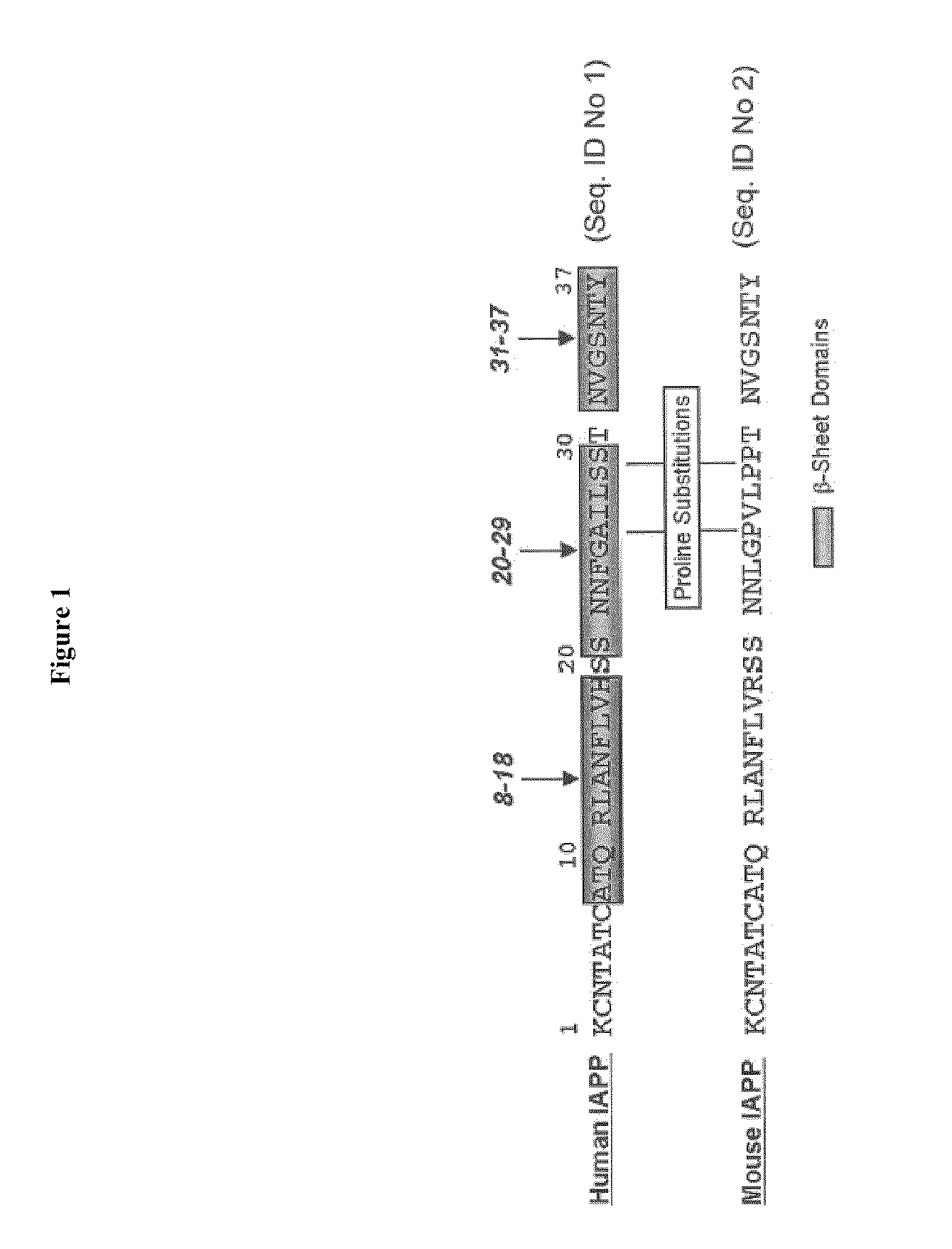 Inhibitors of amyloid fibril formation and uses thereof