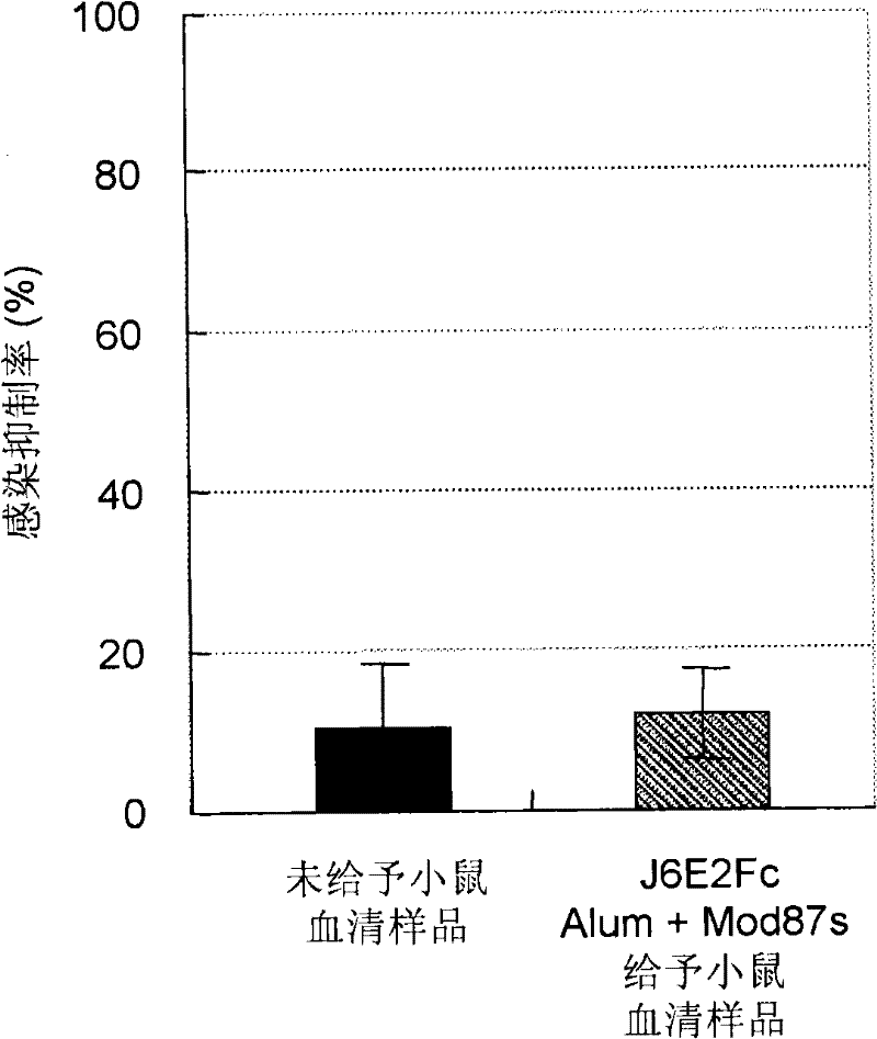 Hepatitis C virus vaccine composition