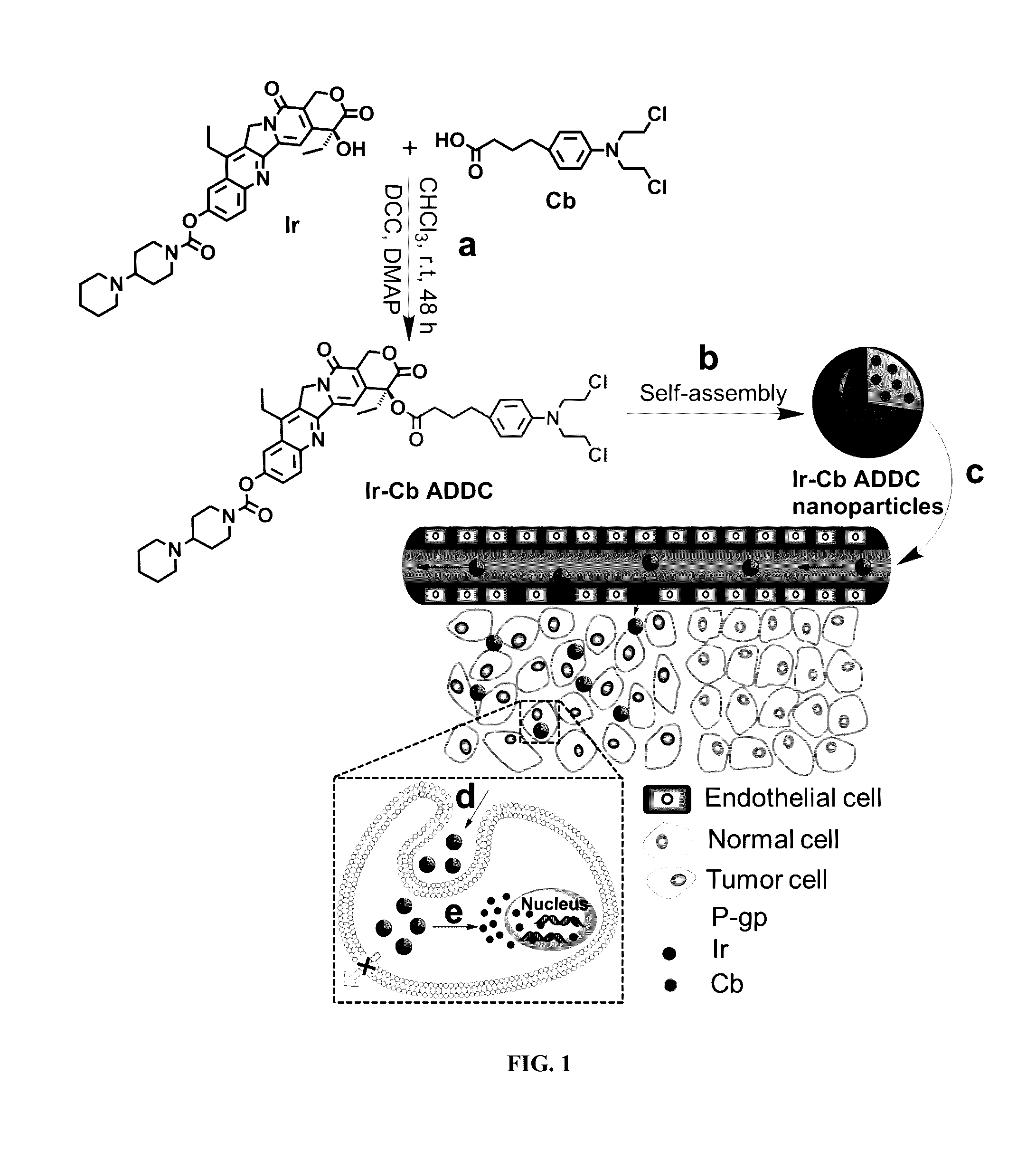 Amphiphilic drug-drug conjugates for cancer therapy, compositions and methods of preparation and uses thereof