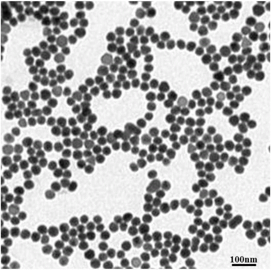 Method of assembling nano necklace based on DNA nanoribbon templating and gold particles