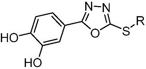 Oxadiazole compound and application thereof to preparation of medicament for preventing and/or treating type 2 diabetes