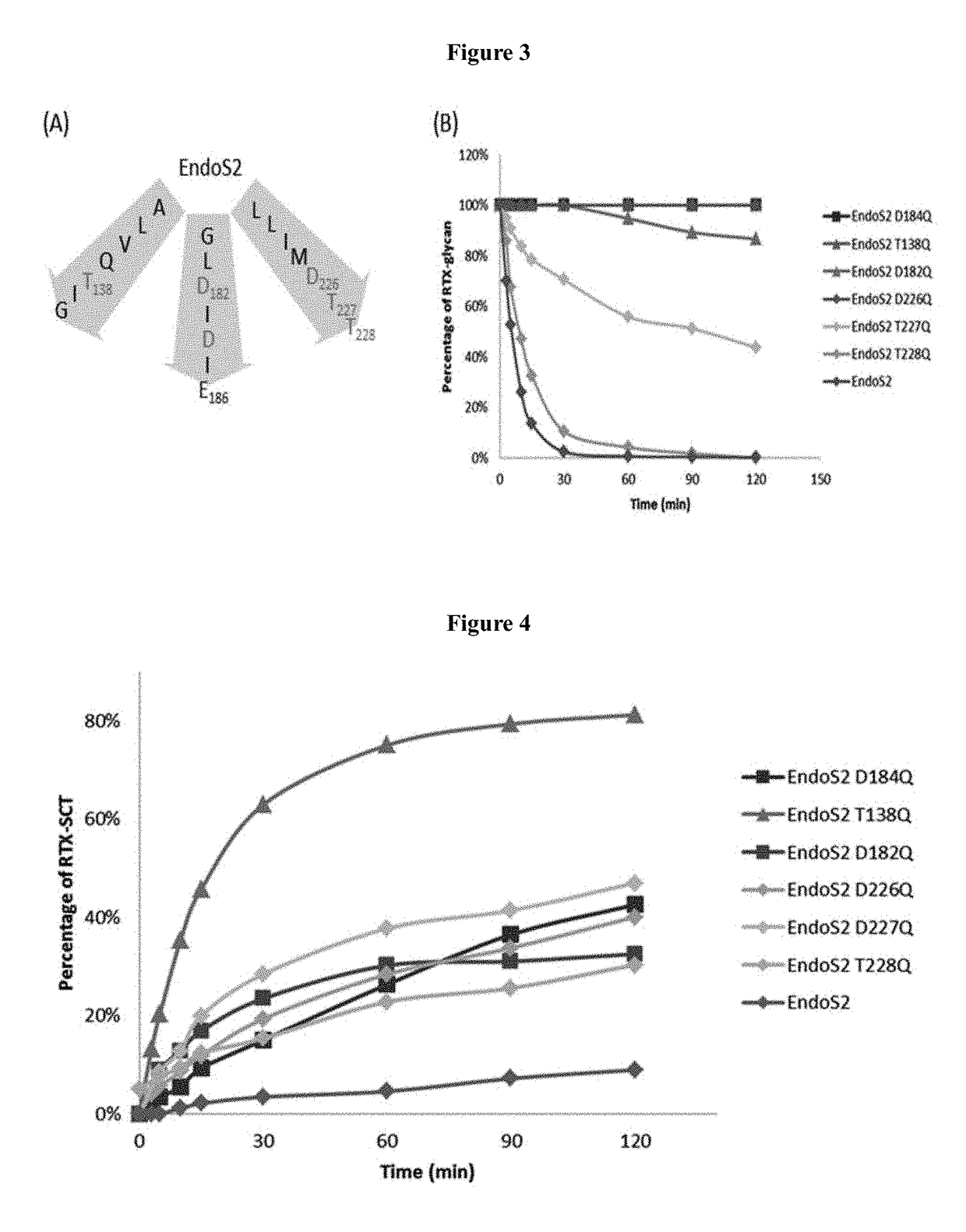 Endoglycosidase mutants for glycoprotein remodeling and methods of using it