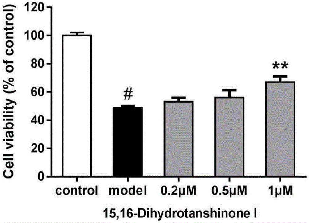 Applications of 15,16-dihydrotanshinone I in preparation of medicines protecting blood vessel endothelia