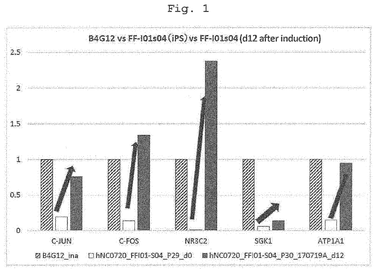 METHOD FOR DERIVING CORNEAL ENDOTHELIUM REPLACEMENT CELLS FROM iPS CELLS