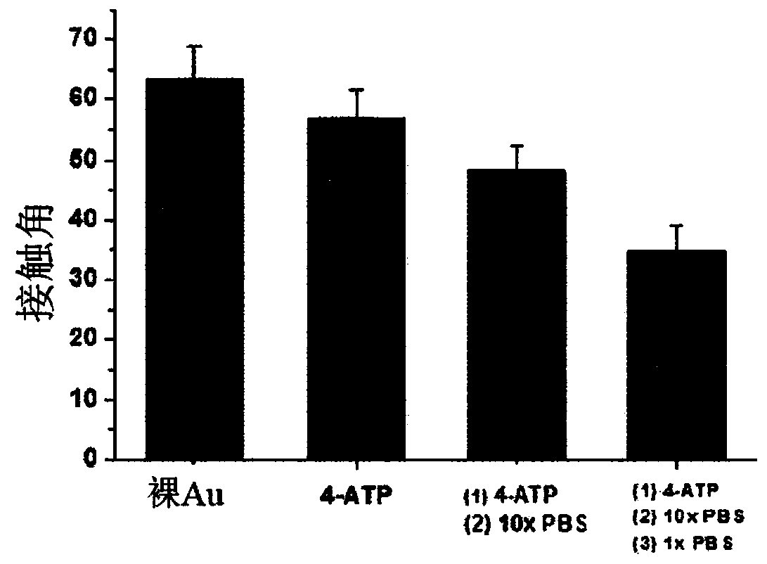 Electrode for biosensor for NADH measurement and manufacturing method therefor