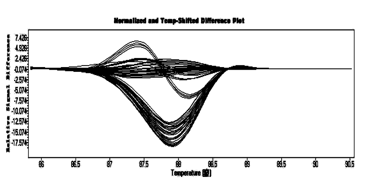 Method and application of buffalo lactation-related gene leptin as a molecular marker