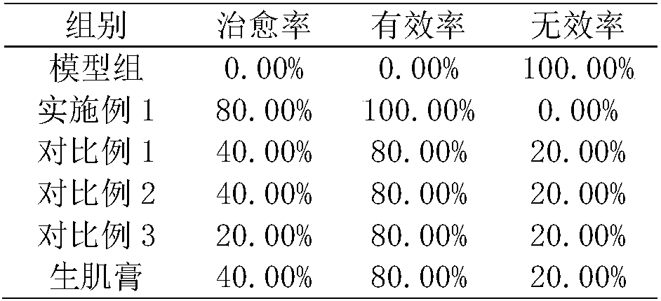 Pharmaceutical composition for treating bedsores as well as preparation method and application thereof