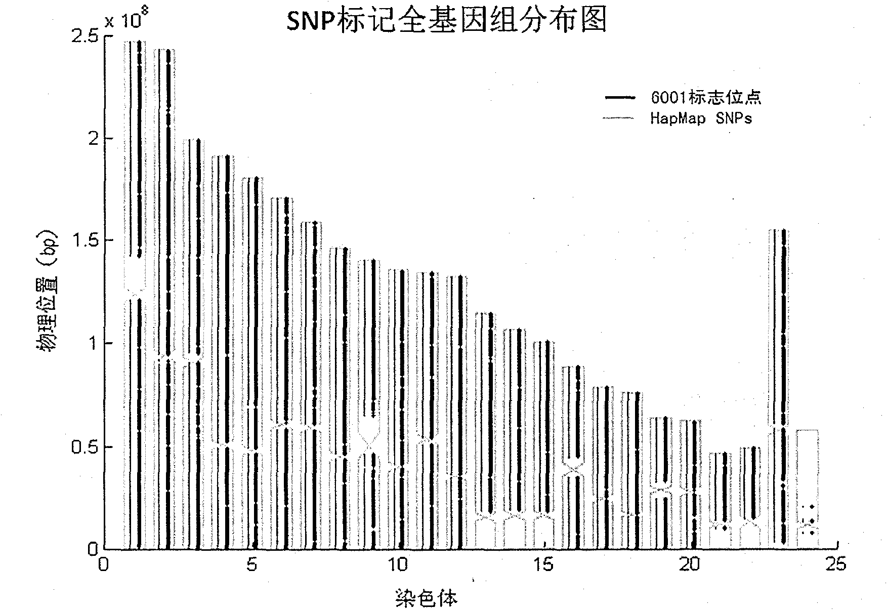 Chinese population linkage analysis single nucleotide polymorphism (SNP) marker sets and use method and application thereof