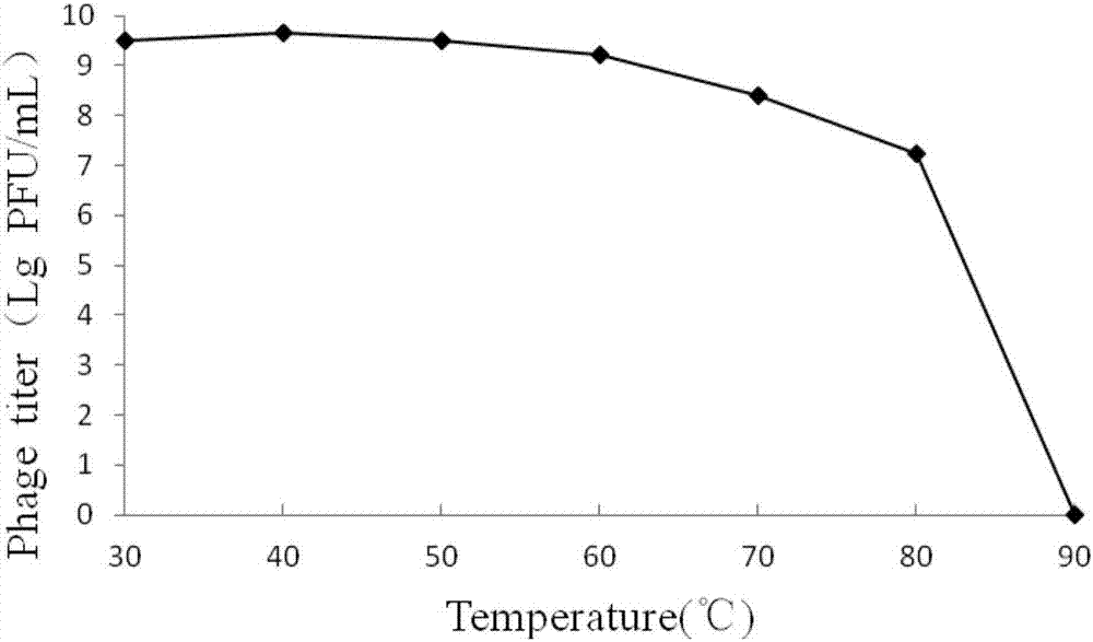 Bacteriophage capable of controlling Salmonella typhimurium and application thereof