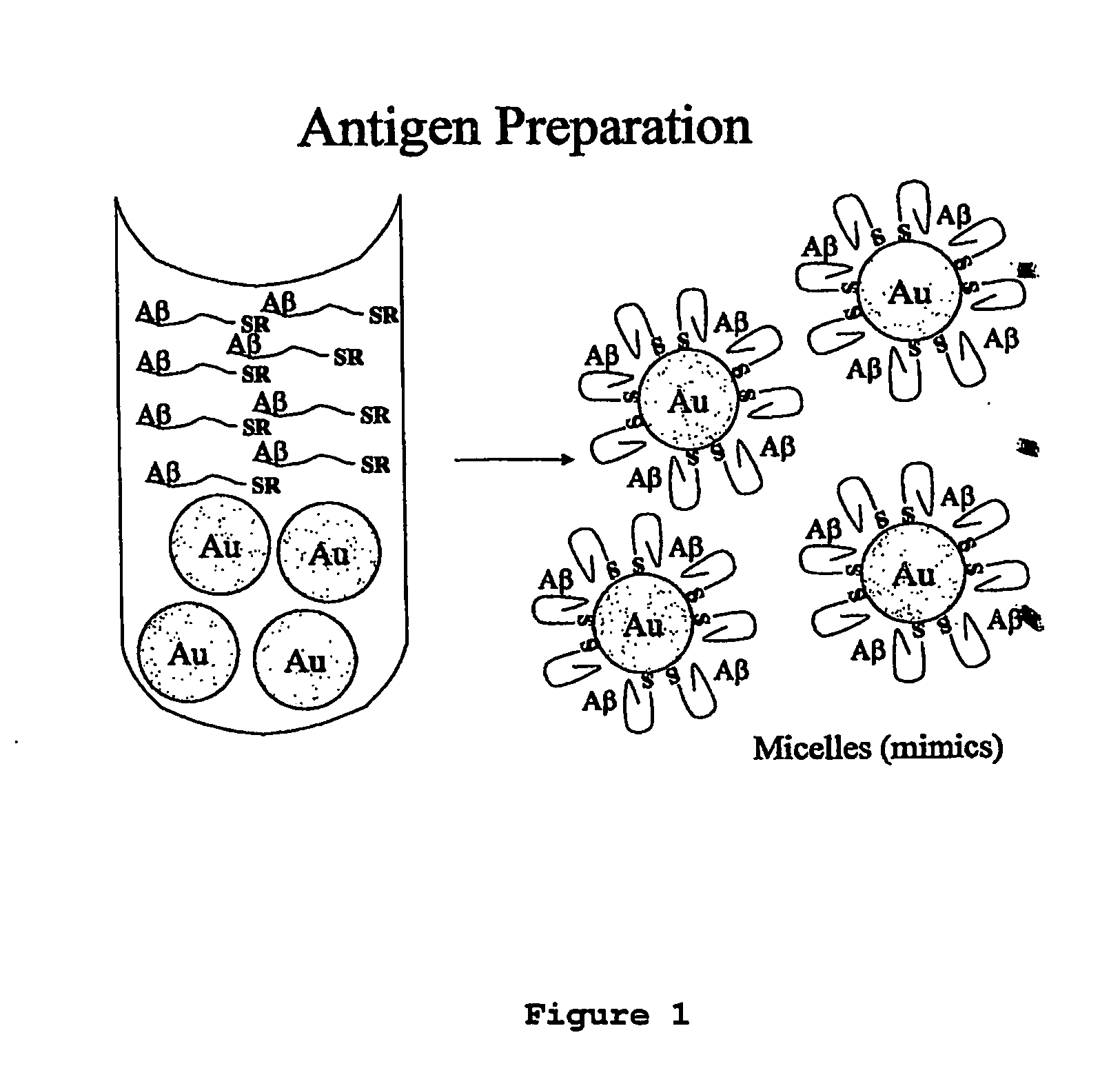 Immunogens and corresponding antibodies specific for high molecular weight aggregation intermediates common to amyloids formed from proteins of differing sequence