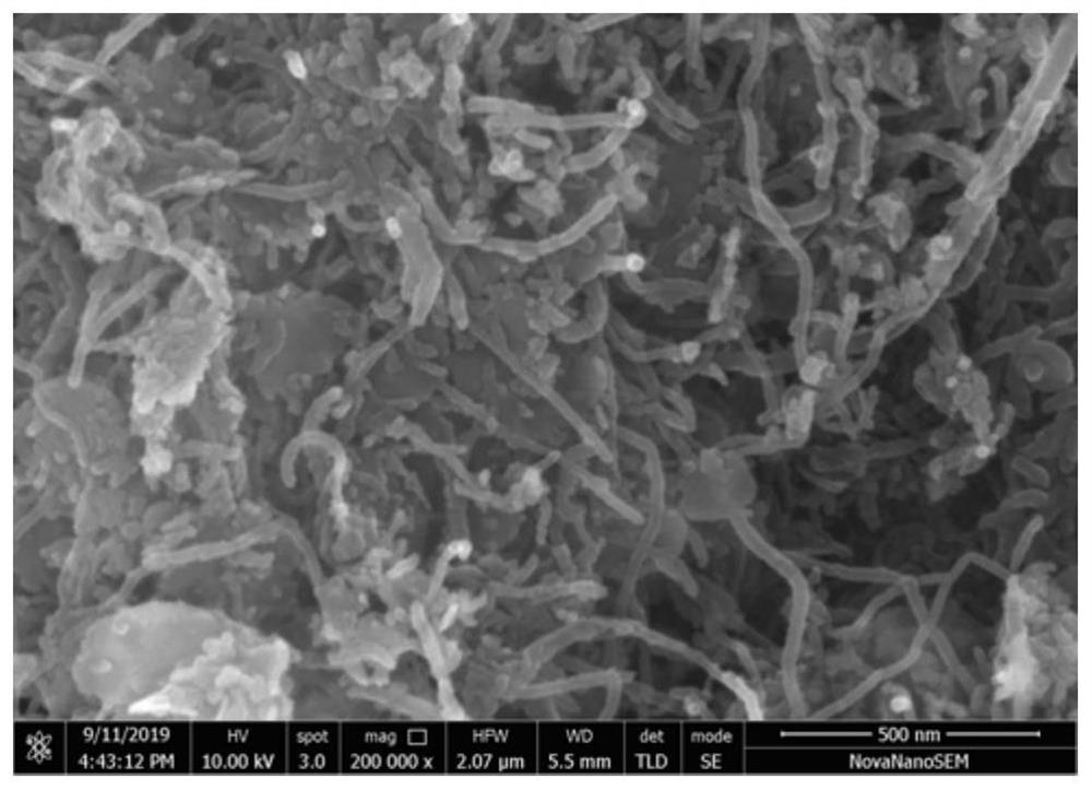 Preparation method and application of beta-phase ferronickel hydroxide/carbon nanotube compound with atomic defects
