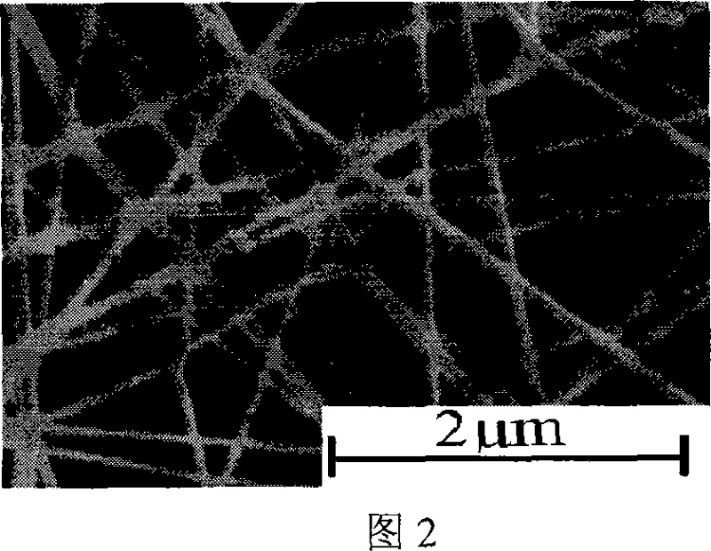 Method for preparing lanthanide series rare earth ions doped with bismuth titanate non-plumbum ferroelectric nano-wire