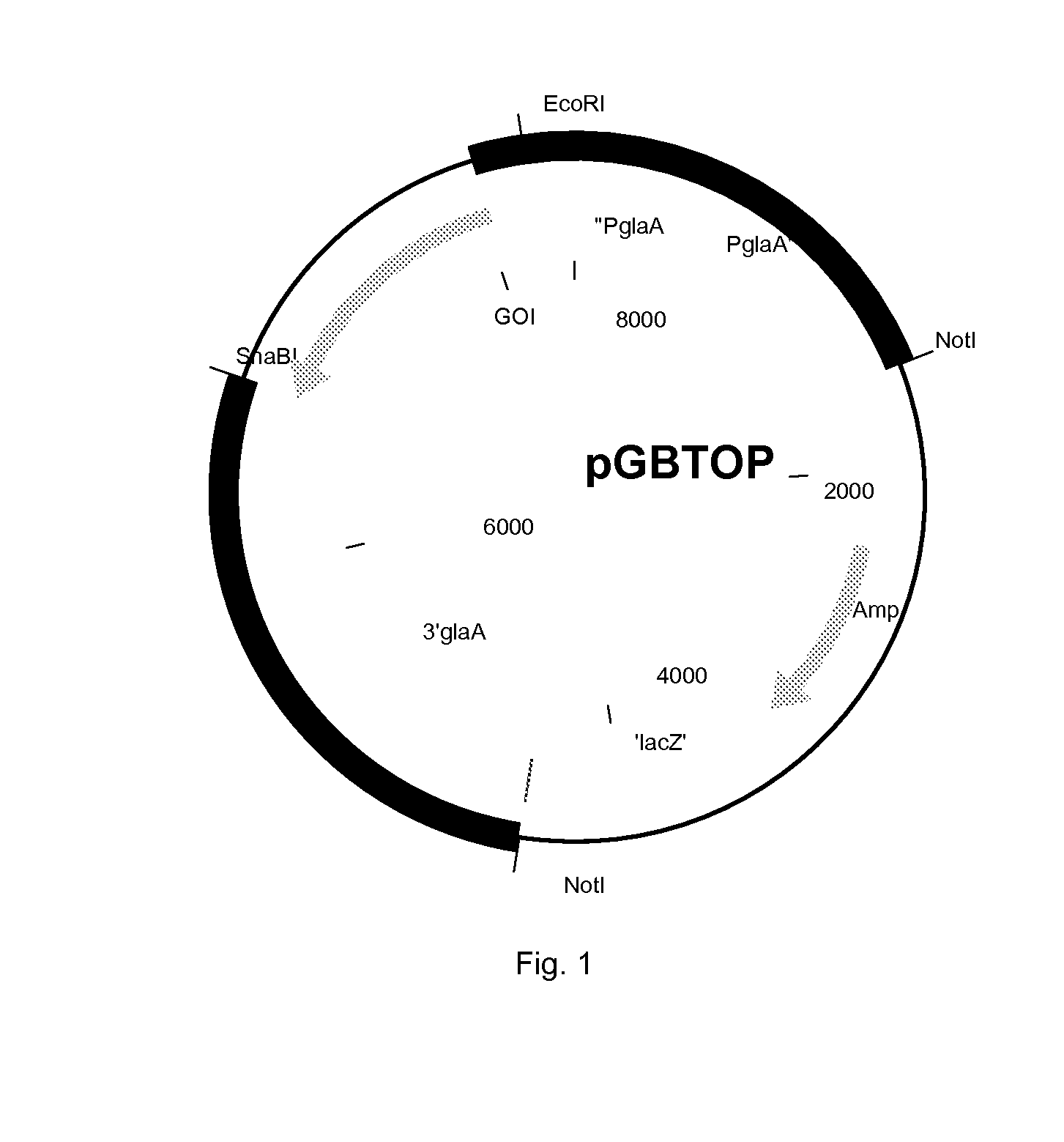 Polypeptide having cellobiohydrolase activity and uses thereof