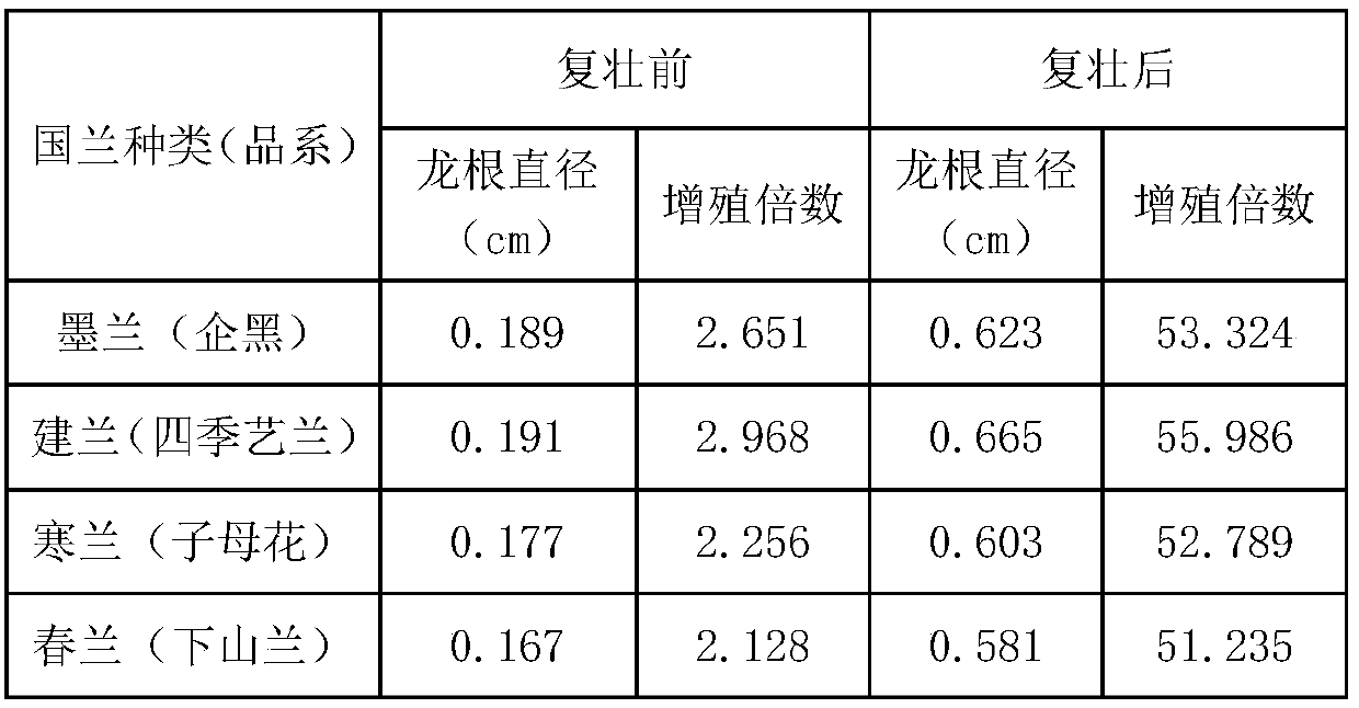 Rejuvenation formula for root culture of cymbidium