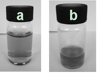 A diagnosis and treatment reagent with sers/fluorescence dual-mode targeted tumor cell imaging and its preparation method