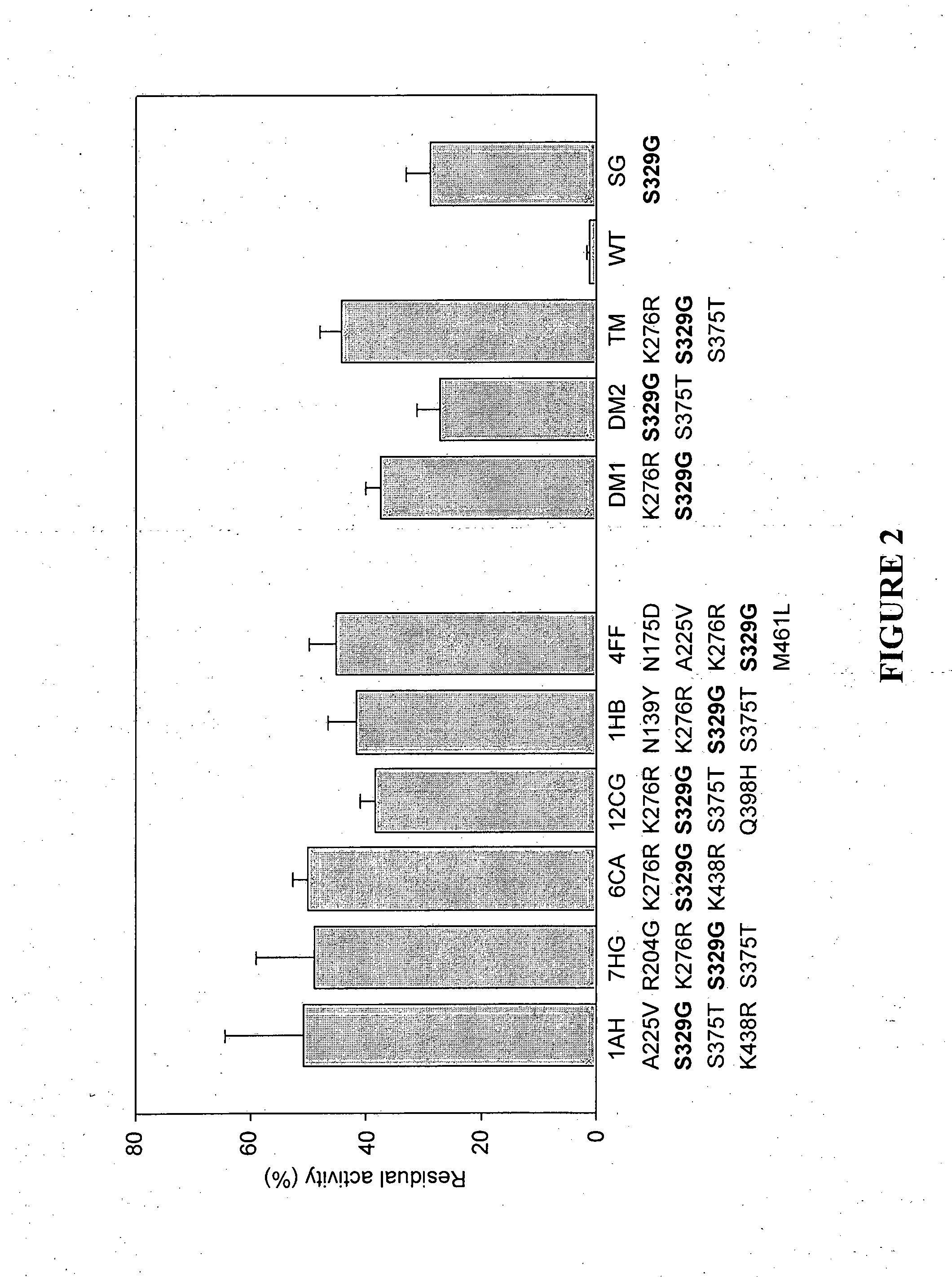 Modified cellulases with enhanced thermostability