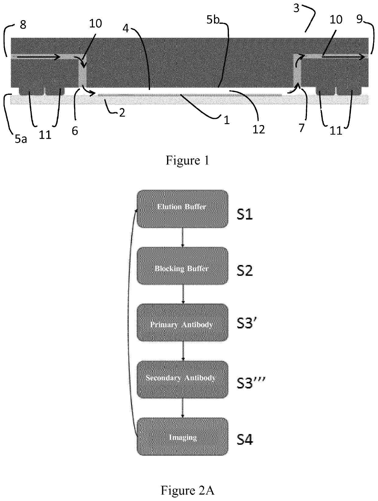 Methods of sample cycle multiplexing and in situ imaging