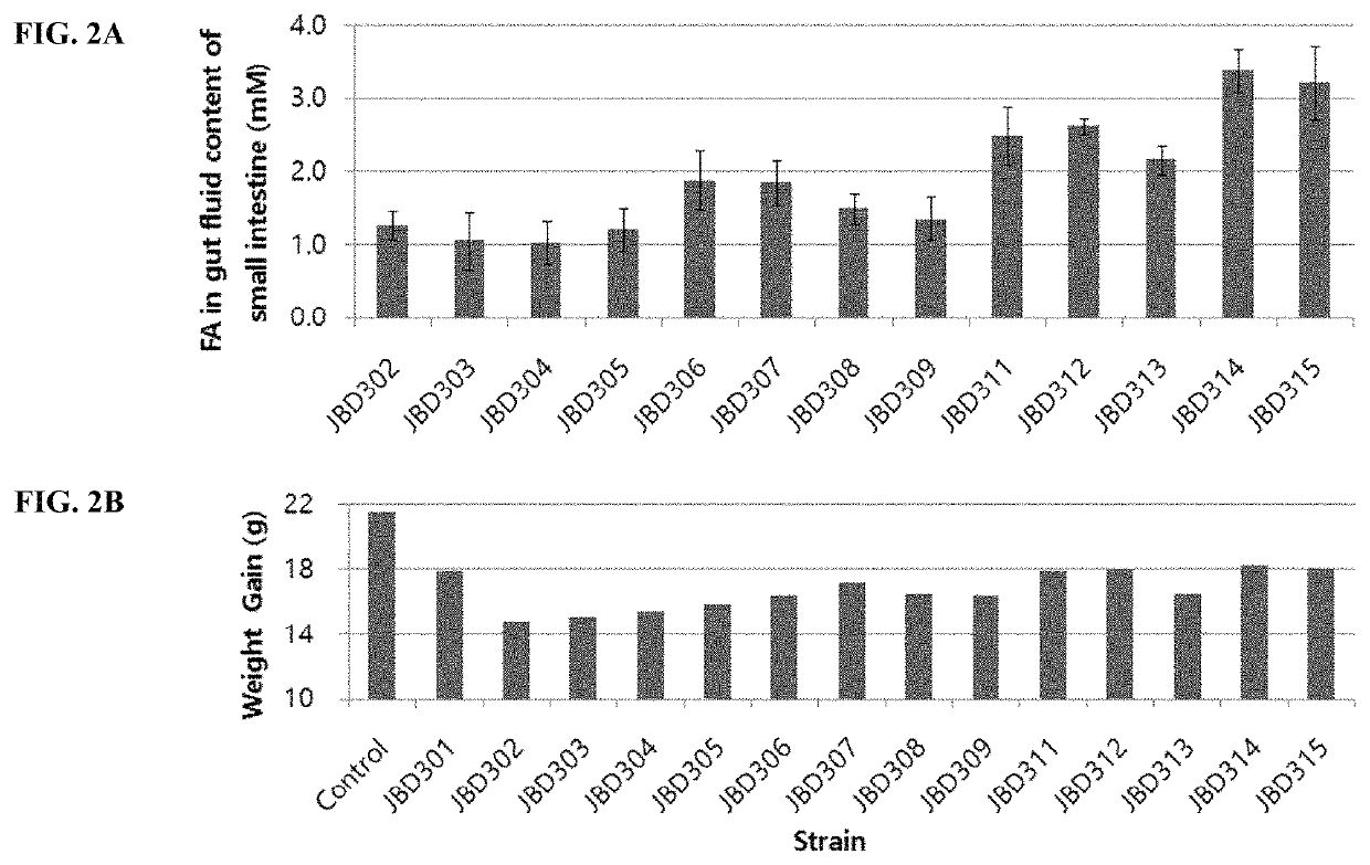 Strain having ability to inhibit obesity and pharmaceutical composition containing same