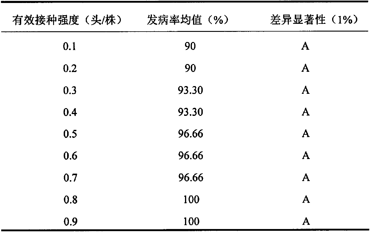 Identification method of artificial inoculation of corn coarse-shrinkage disease by hole-plate soil culture method