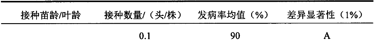 Identification method of artificial inoculation of corn coarse-shrinkage disease by hole-plate soil culture method