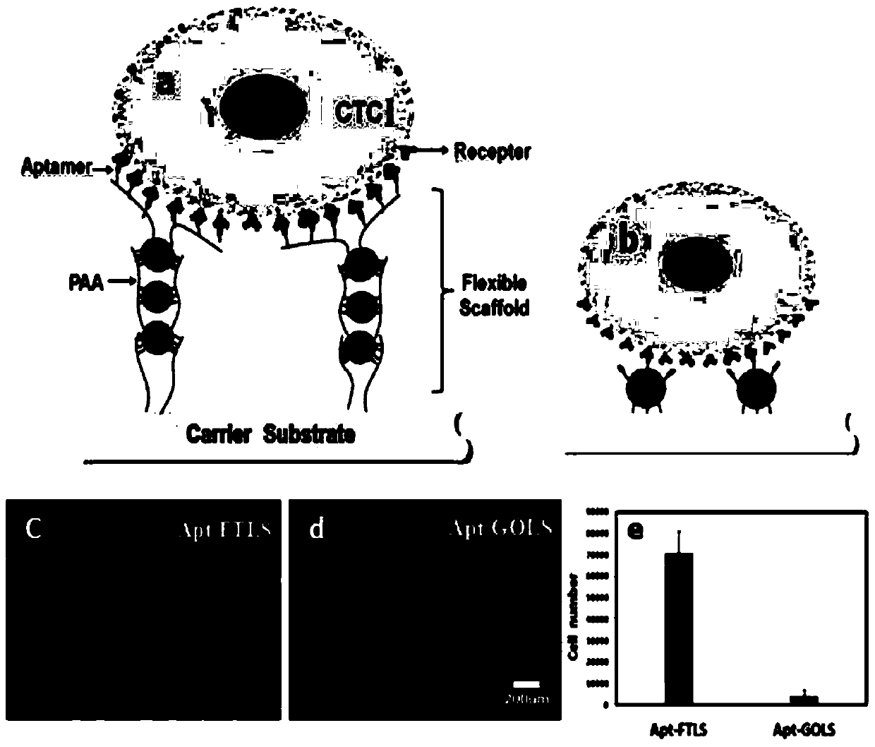 Multiple-capture ligand-modified multilayer nanoparticle flexible scaffold for target cells and its application