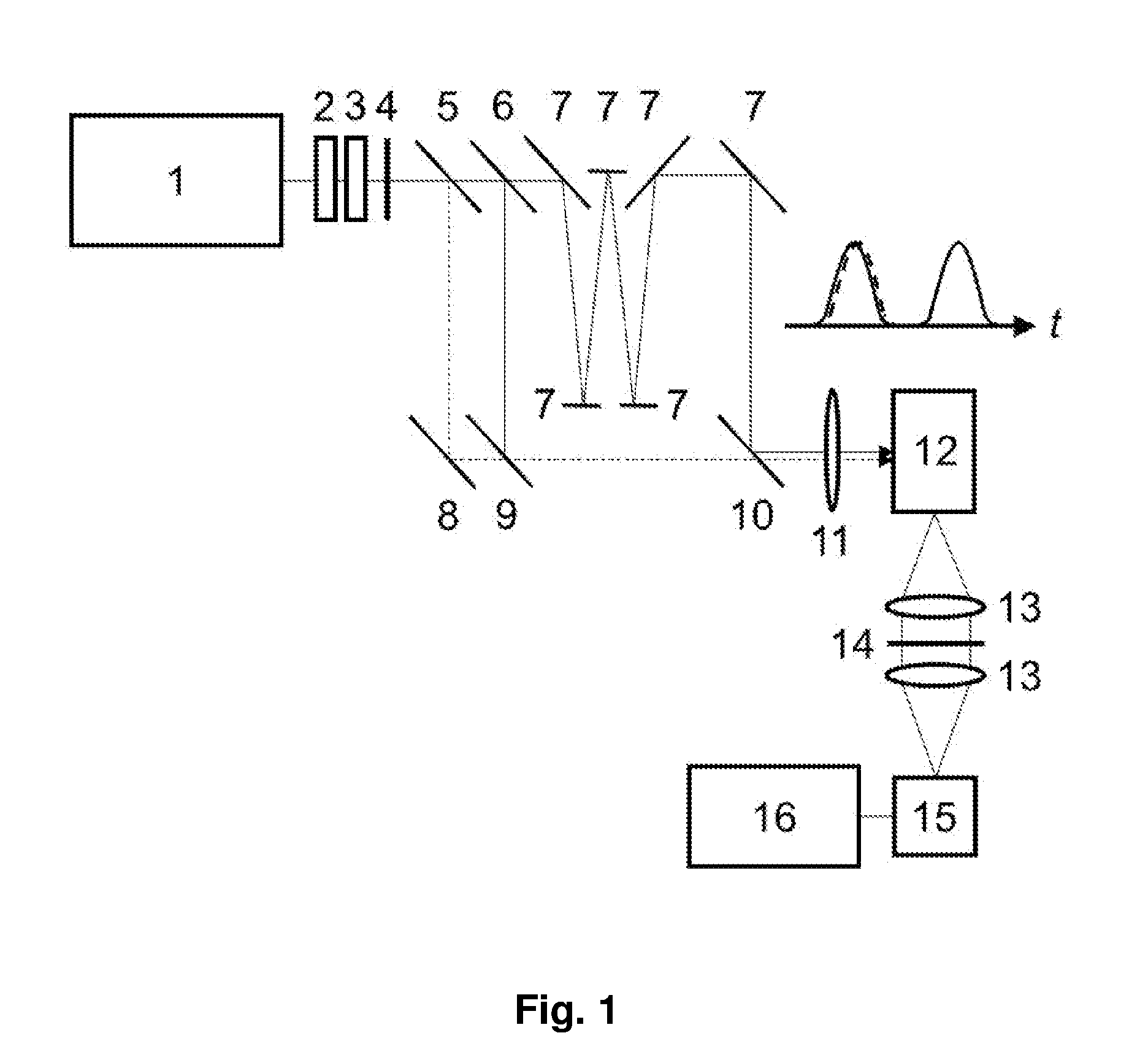 Method and apparatus for detecting and discriminating biological from non-biological species