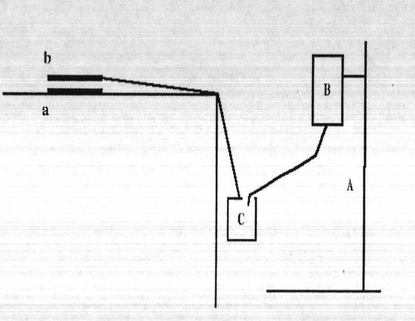 Bioadhesive vaginal plug for treating vaginitis and cervicitis as well as preparation method of bioadhesive vaginal plug