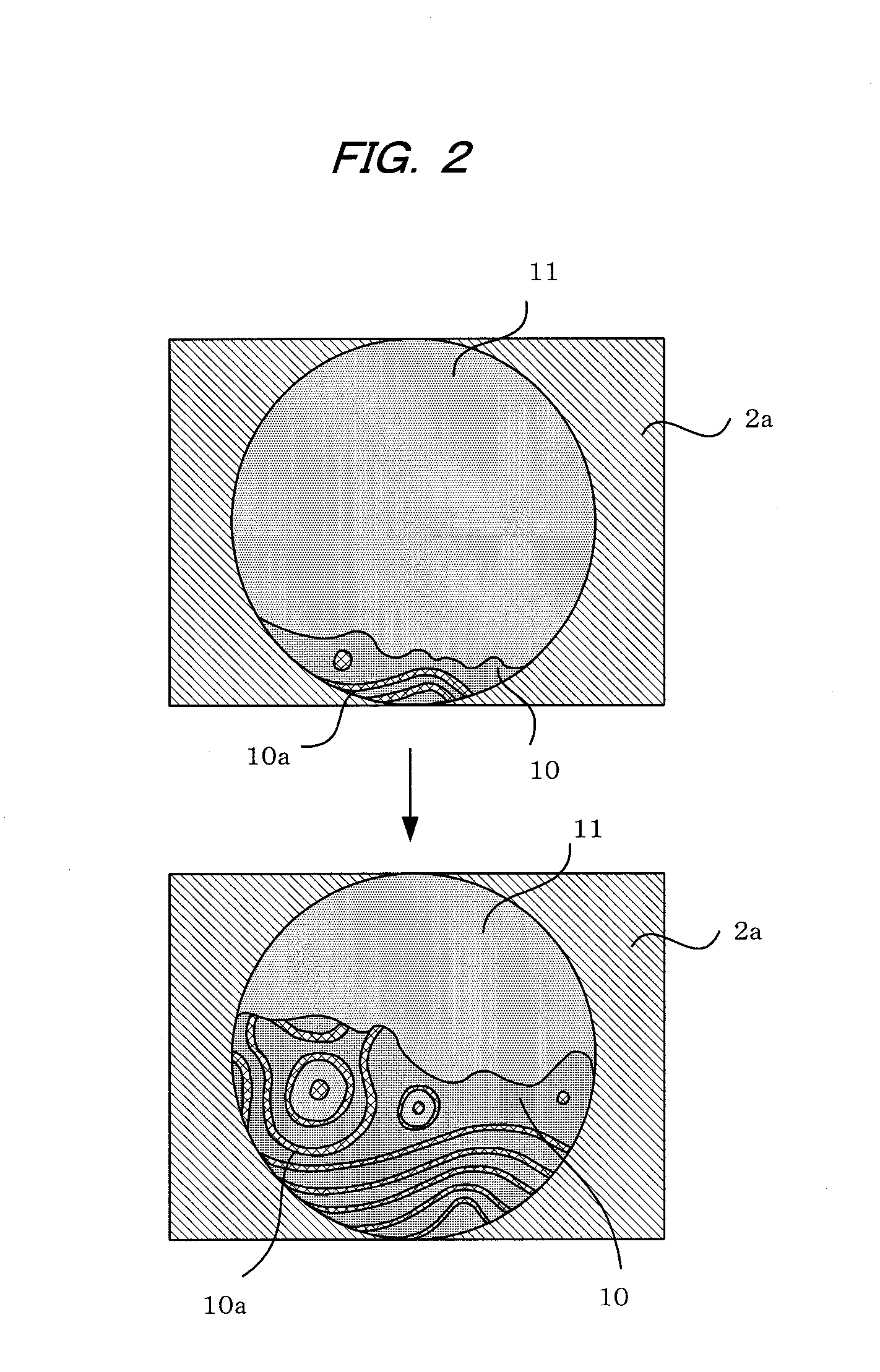Ophthalmologic apparatus and image classification method