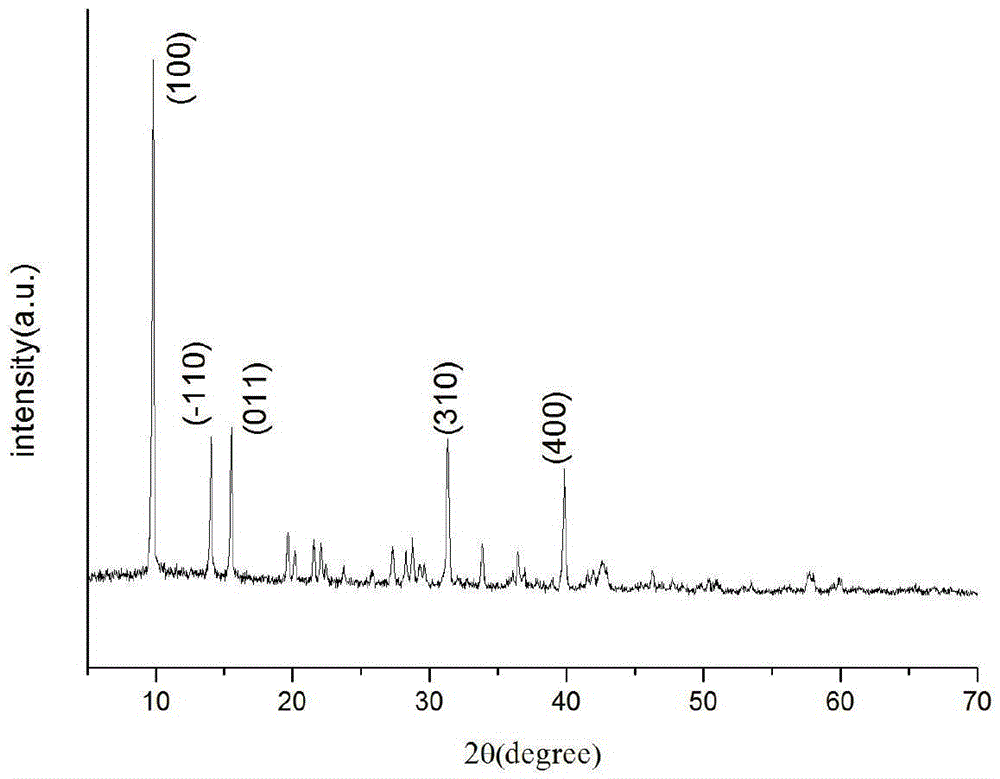 Method for preparing plate-like basic magnesium carbonate by template induction/homogeneous precipitation
