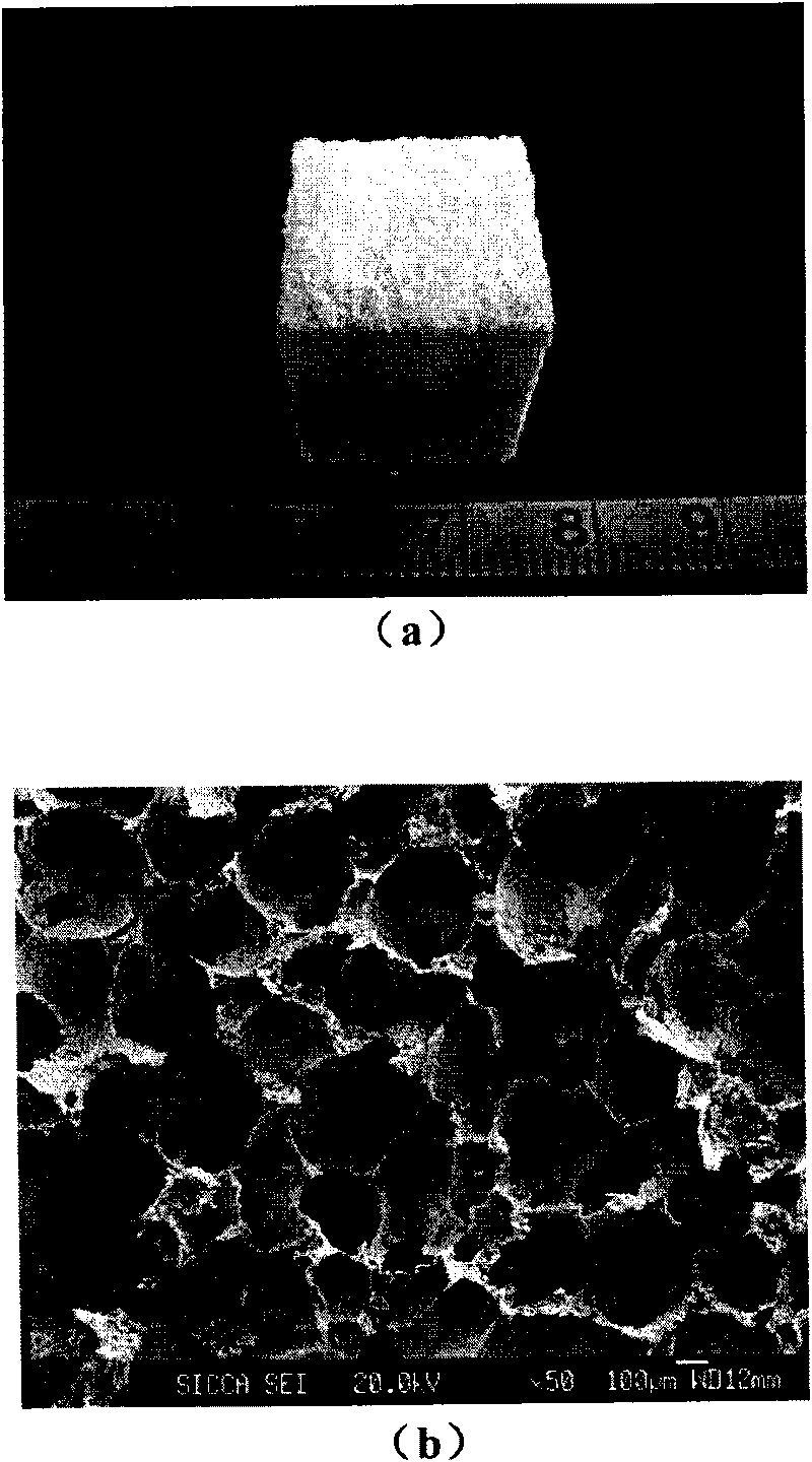 Bone tissue engineering bracket material and preparation method and application thereof
