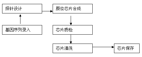 Gene chip, detection reagent and kit for detection of NLRP7 gene