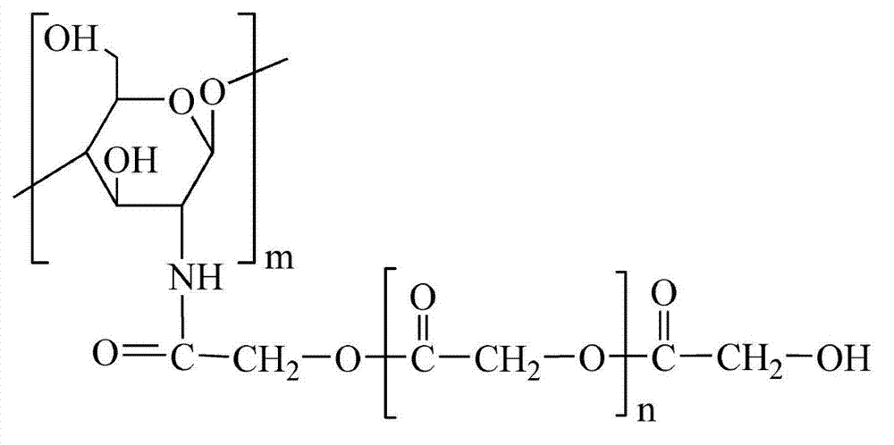 Method for preparing a chitosan / aliphatic polyester amphiphilic graft copolymer