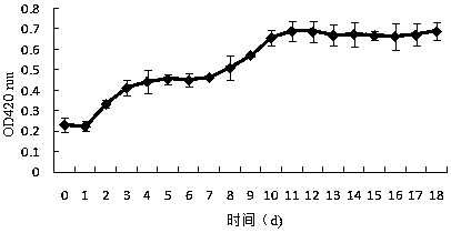 Strain of petroleum aromatic hydrocarbon degrading bacterium and applications thereof