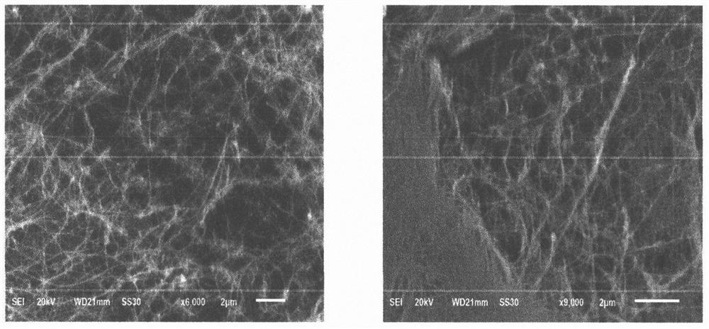 Preparation method of CoO-coated carbon nanotube film with HER/OER bifunctional catalytic activity