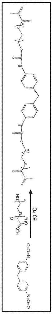 Photocurable resin composition, photocurable resin article, and methods of fabricating the article