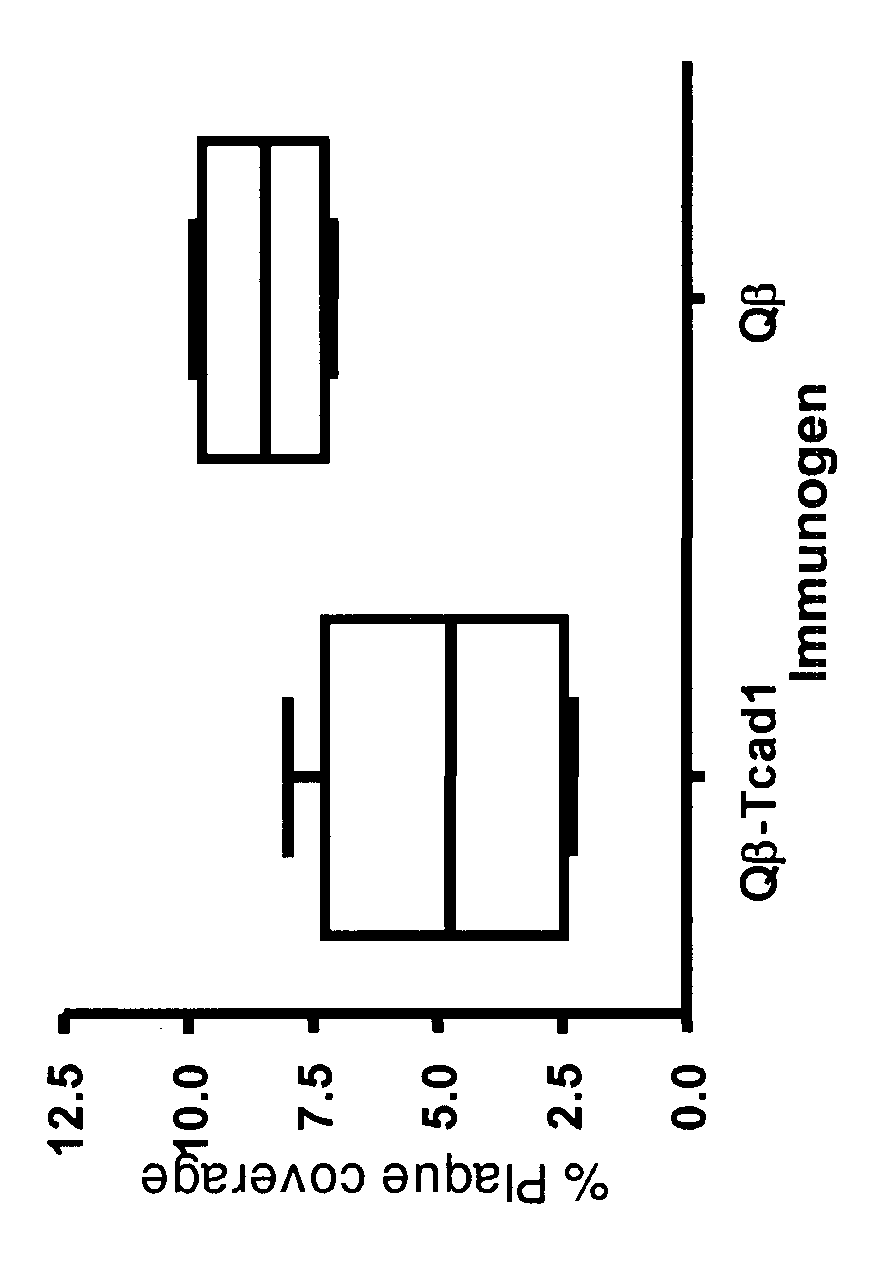 T-Cadherin antigen arrays and uses thereof