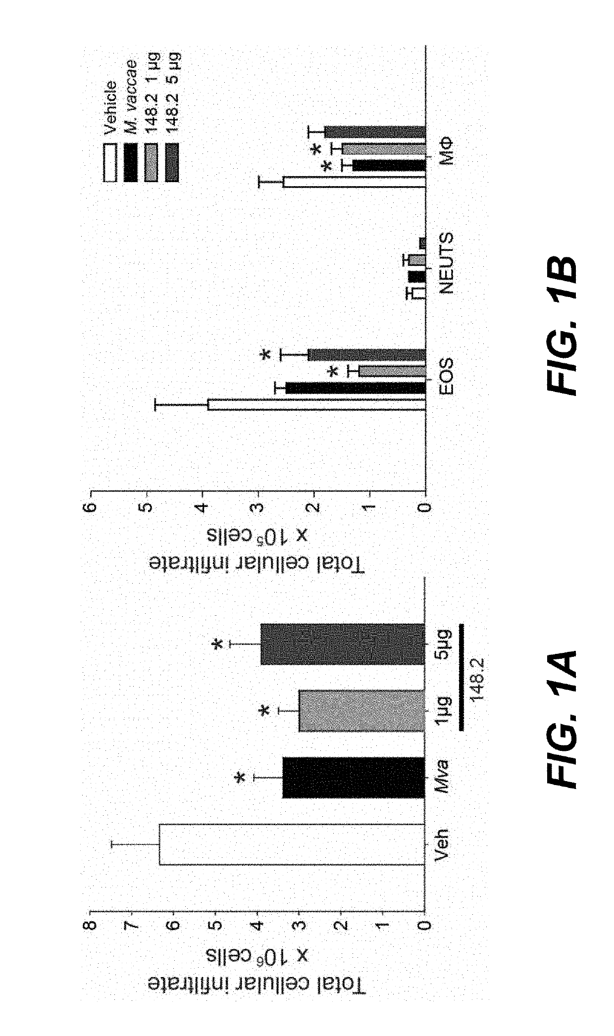 Immunotherapeutic agent