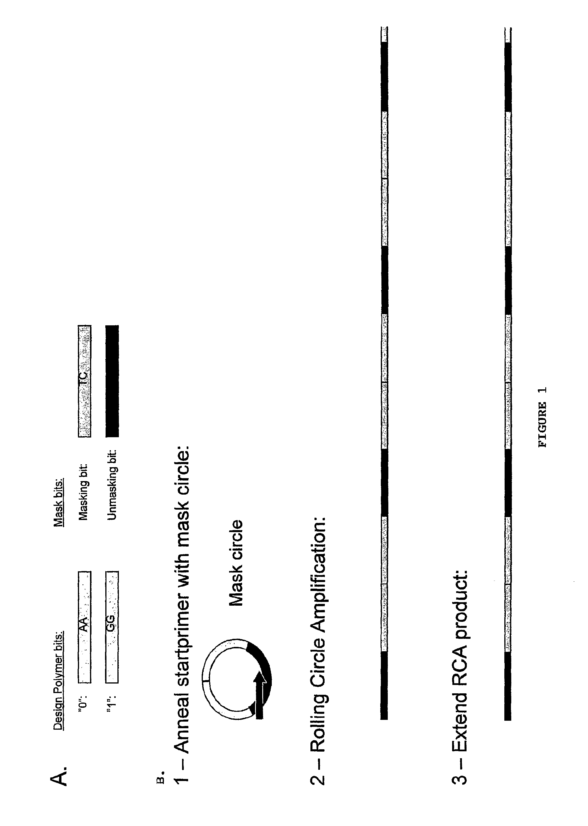 Method for Preparing Polynucleotides for Analysis
