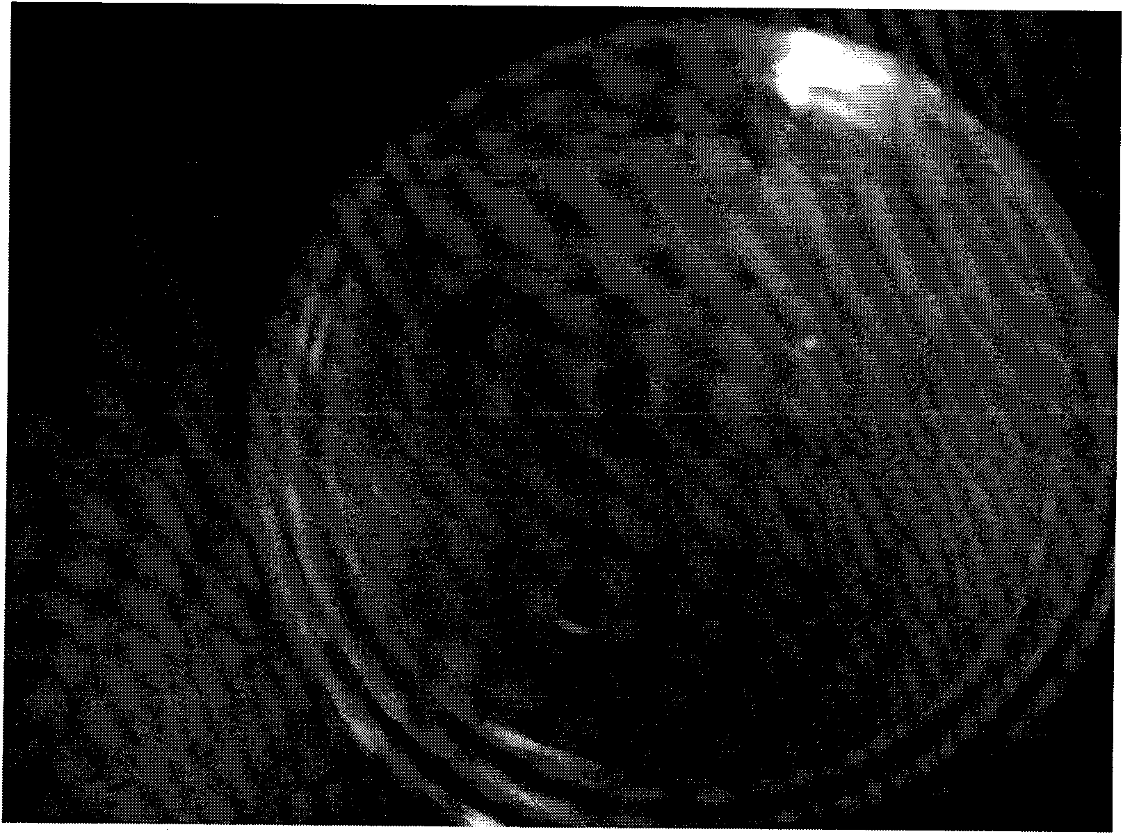 Compound traditional Chinese medicine disinfection solution and preparation method thereof