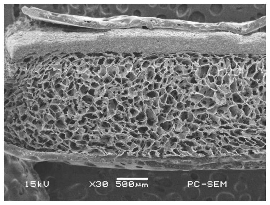 Preparation method of chitosan attapulgite membrane material having function of guiding bone tissue regeneration