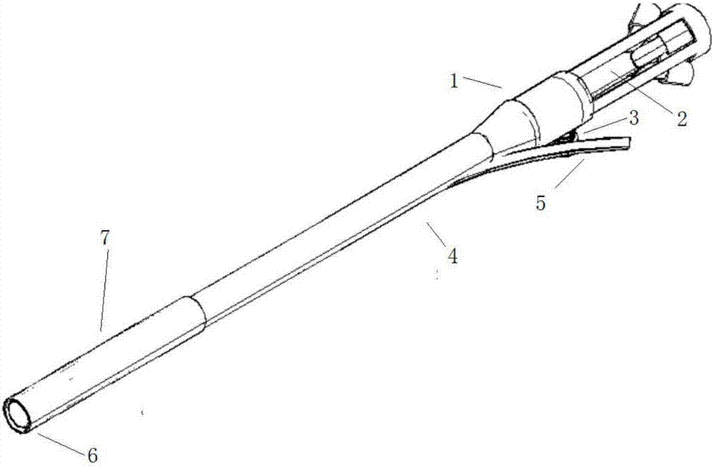 Endoscope with enlargeable tail end