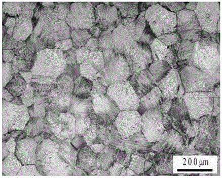 A kind of preparation method of tial-based alloy with fine full-layer lamellar structure