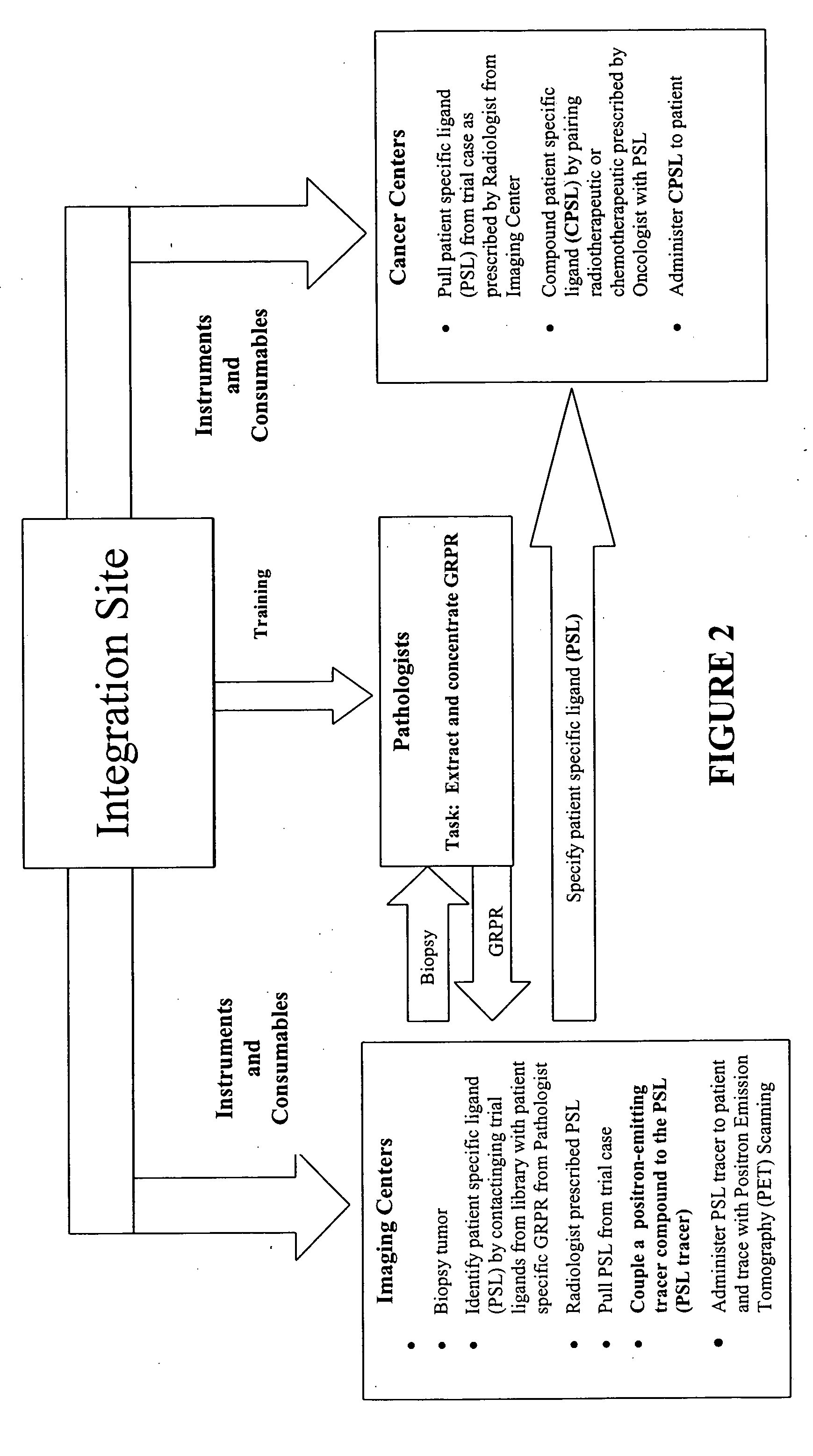 Method, compositions and classification for tumor diagnostics and treatment