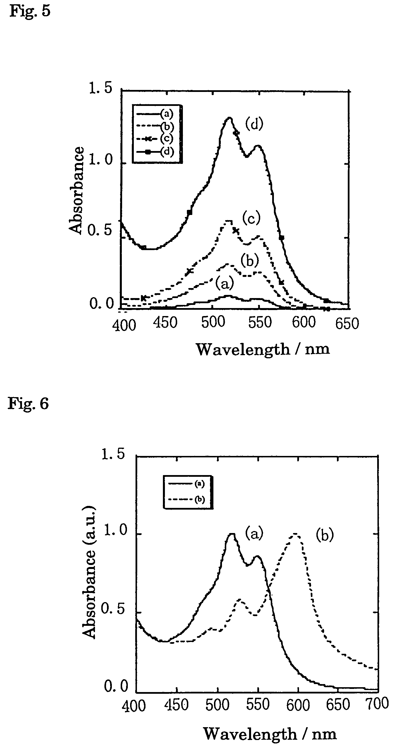Process for producing pigment nanoparticle