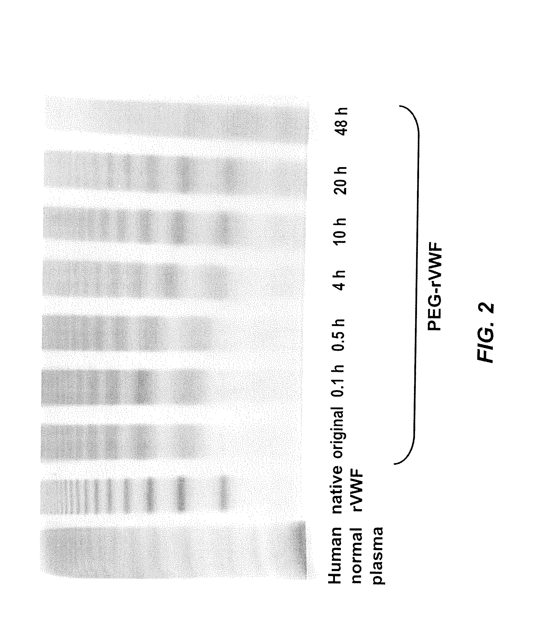 Methods for determining active ingredients in pro-drug peg protein conjugates with releasable peg reagents (in vitro de-pegylation)