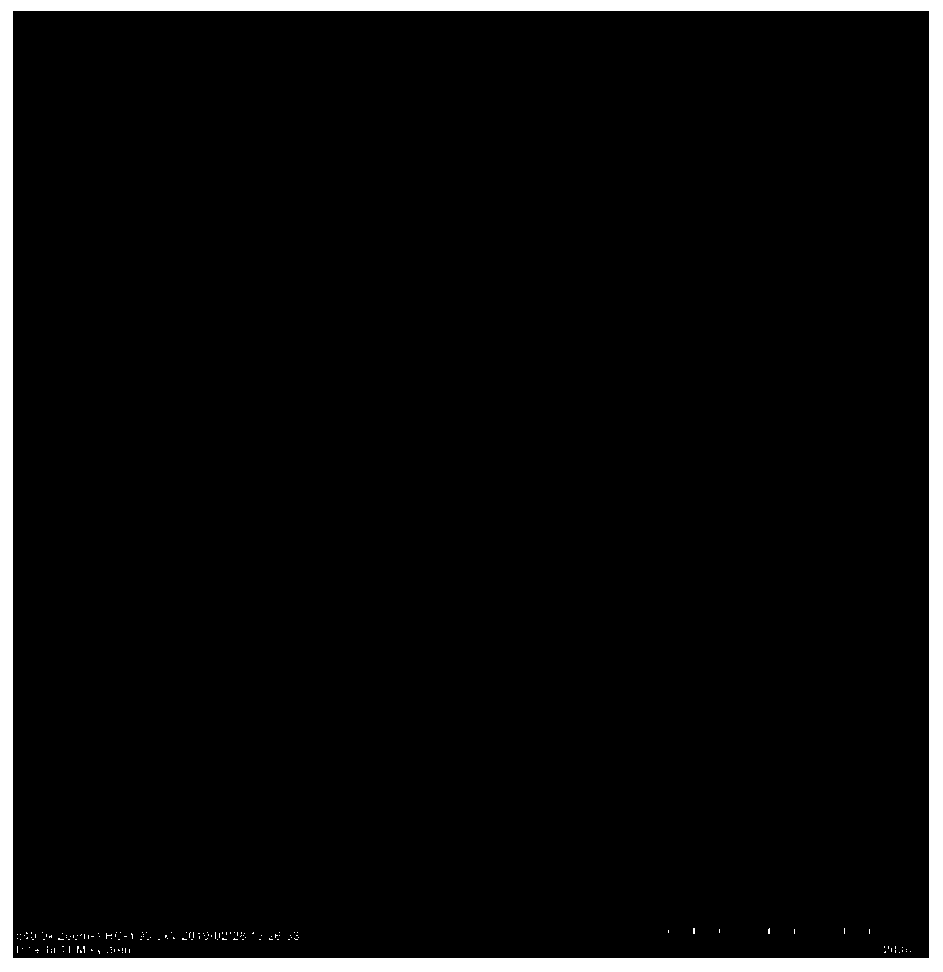 Iron oxide-carbon nano tube-gemcitabine-lentinan compound material and preparation method thereof